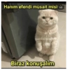 Hanım efendi müsait misi 1/2 gumbalmodum Biraz konuşalım