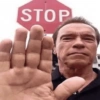 😎 STICKERS SHITPOST 24 🤙 11