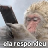 ela respondeu