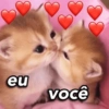 GATOSLOVE❤️ 5