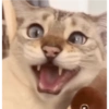 MEMES & Reações 20