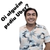 Gato 14