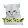 Michis memes 😹😼 11