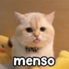 menso