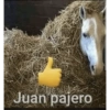 😎 STICKERS SHITPOST 22 🤙 15