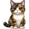 🐱 Pet Cats | Emoji Style 6