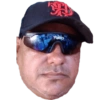 Gato 22