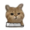 Michis memes 😹😼 13