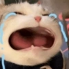 📌🌈🐈✨️Gatos Funny Mood✨️🐈‍⬛🌈 26