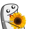 Flores amarillas 🌻🌼😌 Flork  13