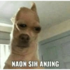 Kumpulan Meme viral #3 5