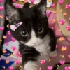 Cute stickers 16
