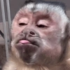 🤪 Reactions 9 😲 5