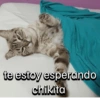 te estoy esperando chikita