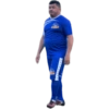 Gato 16
