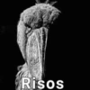 Risos