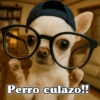 Perro culazo!!