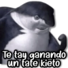 Te tay ganando un tate kieto