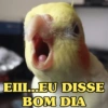 MEMES DE BOM DIA ⛅ 8