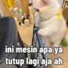 ini mesin apa ya tutup lagi aja ah ASTEL PEARL