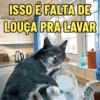 ISSO É FALTA DE LOUÇA PRA LAVAR