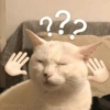 23060901 ???