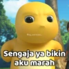 DINO BUCIN 5