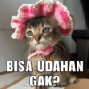 Meme kehidupan 9