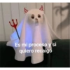Memes xd 5