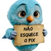 NÃO ESQUECE 0 PIX