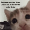 Para el chat😼 12
