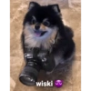 wiski