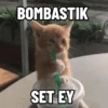 Kucing Anomali 4 13