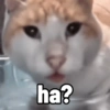 ha?