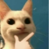 Gatinhos 7