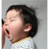 Bimba coreana 18