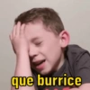 que burrice