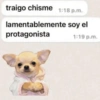 Algo Random 4👽👾  5