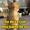 me deixa com meu banho de sol