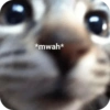 Meme random kocak 17