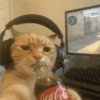 Cola