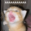 AAAAAAAAAAA