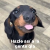 Hazle así a la gente qla