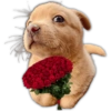 ♥️🌹💐RAMO BUCHÓN 2💐🌹♥️ 12