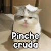 Pinche cruda