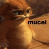 MEMES DE DESENHOS 5