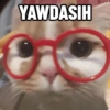 Kucing Anomali 4 14