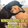 MEMES DE BOM DIA ⛅ 12