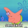 SAMLEKOM