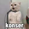 konser